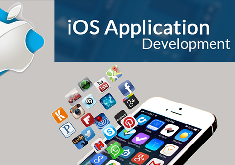 iOS Application